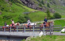 Uscita con cavalli di razza Haflinger