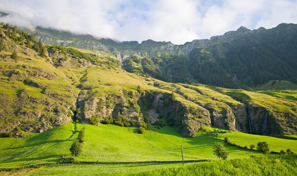 Wiesen und Wälder rund um den Egarthof