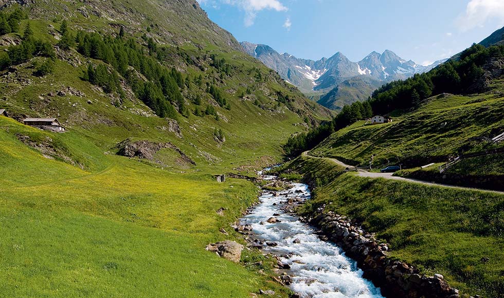 Sattgrüne Landschaft in Passeier
