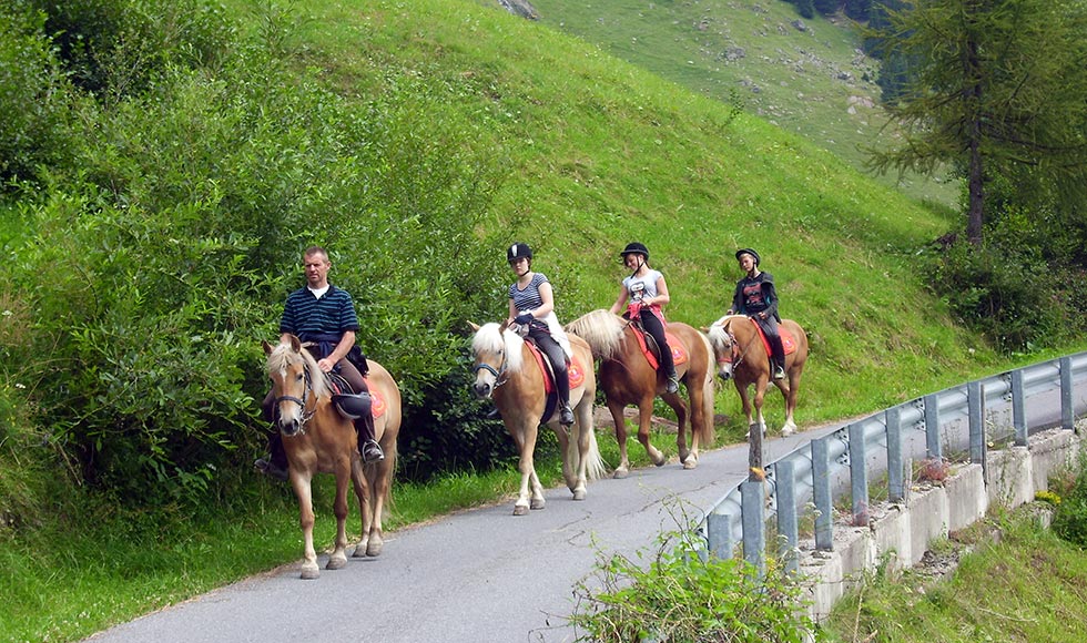 Ausritt mit Haflinger Pferden