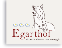 Egarthof - Vacanza al maso con maneggio